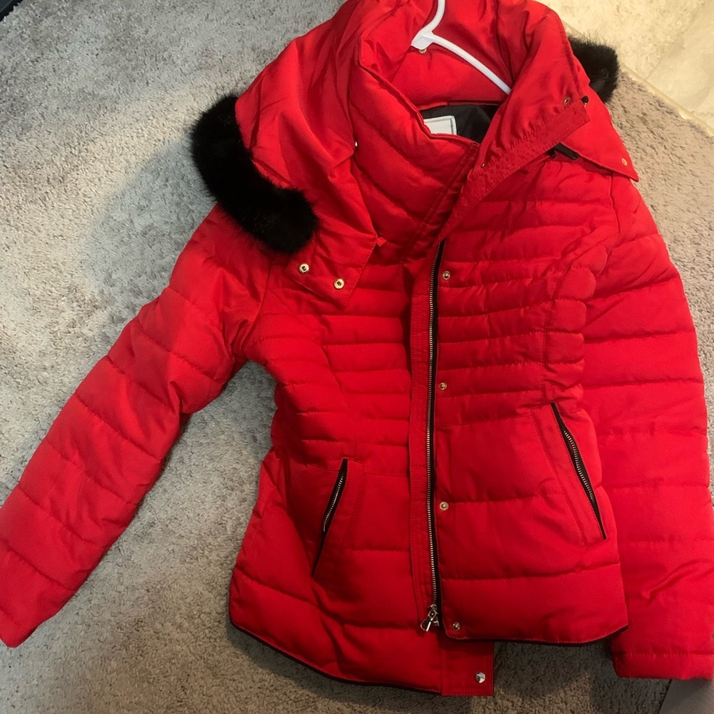 Royal Matrix Winter Coat